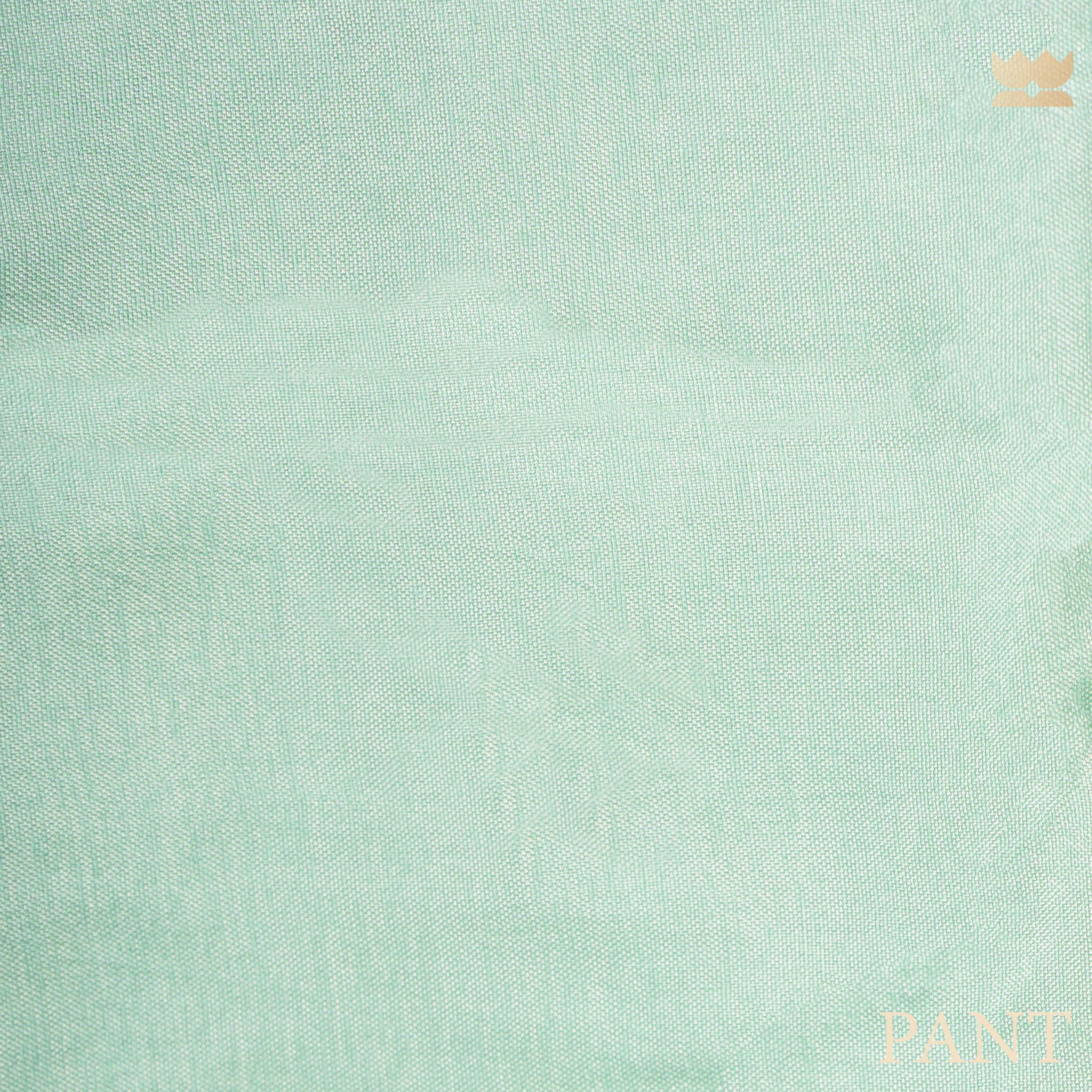 Parsigara Organza Suit Set