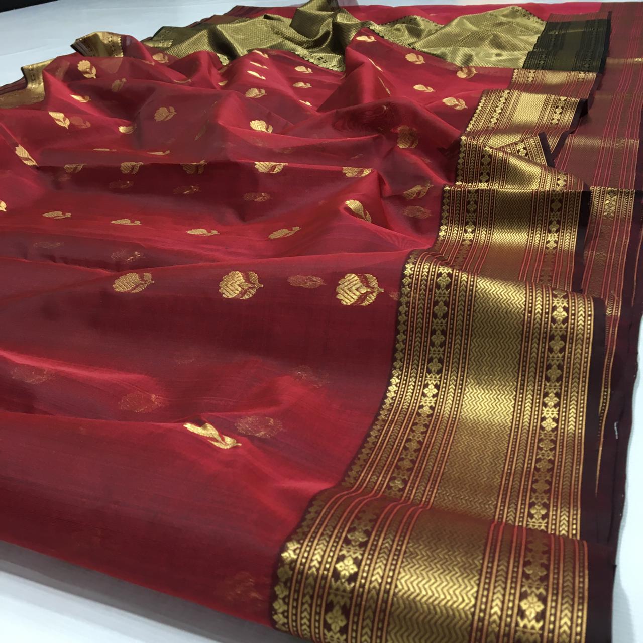Padmarekha Chanderi Silk Saree